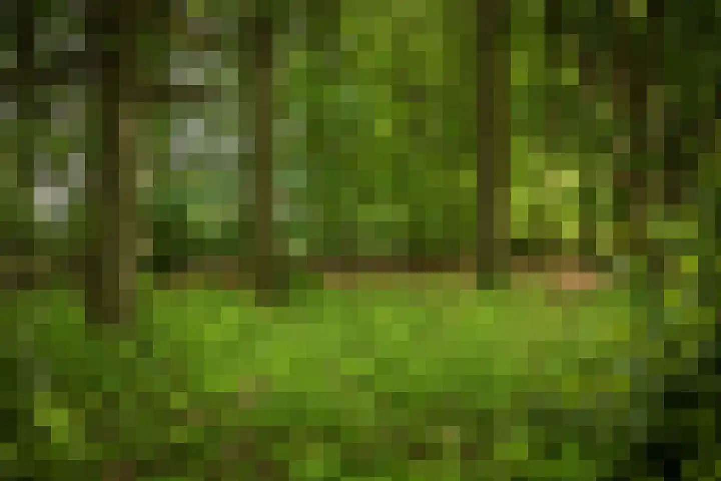 Rossweg 3 Laren thumbnail 57