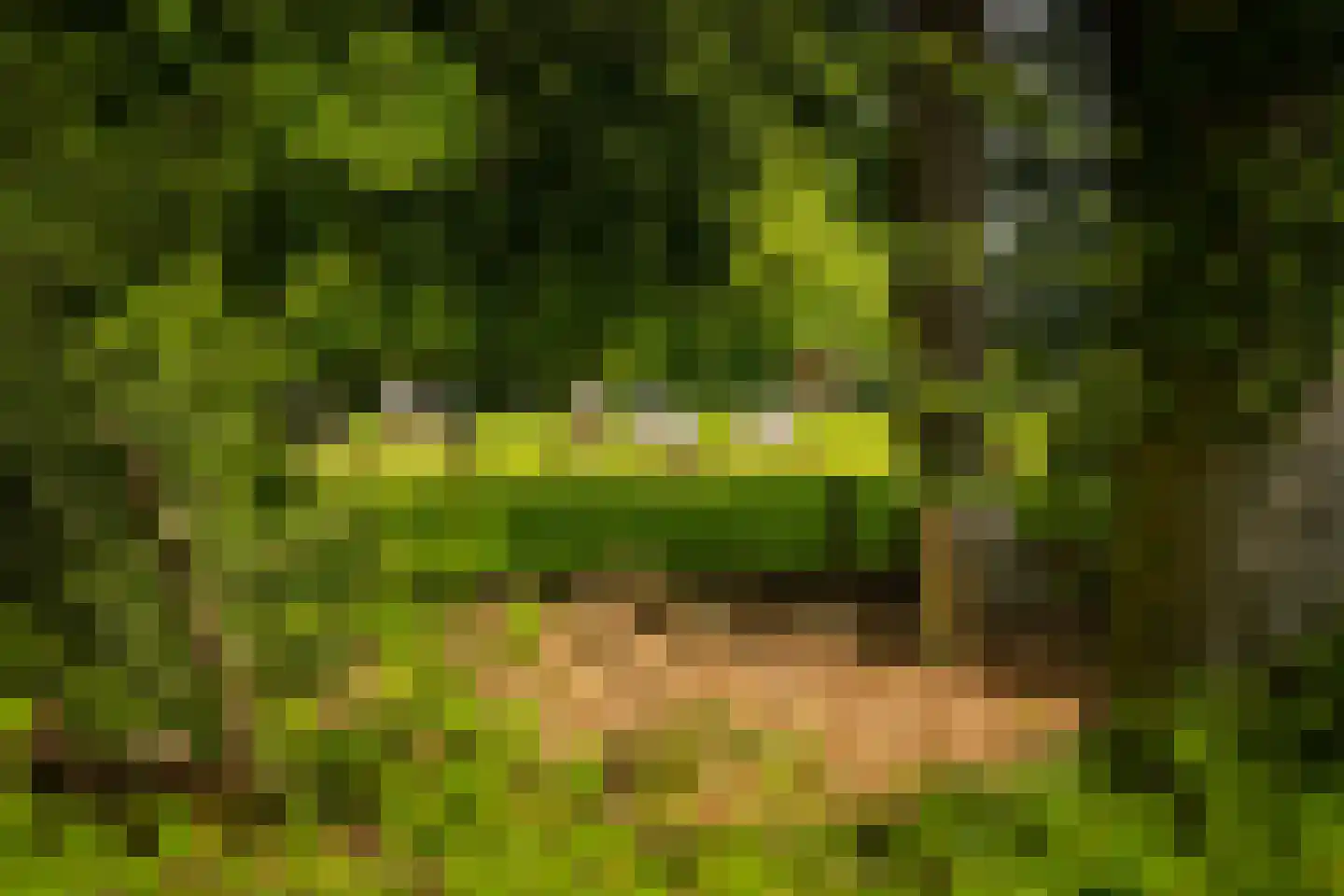 Rossweg 3 Laren thumbnail 58