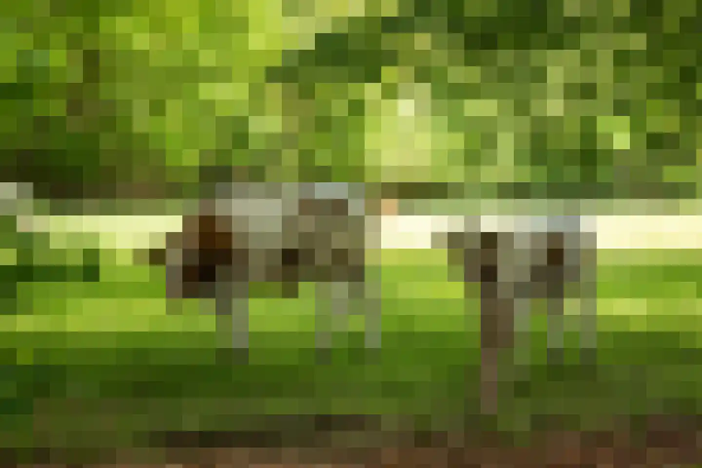 Rossweg 3 Laren thumbnail 59