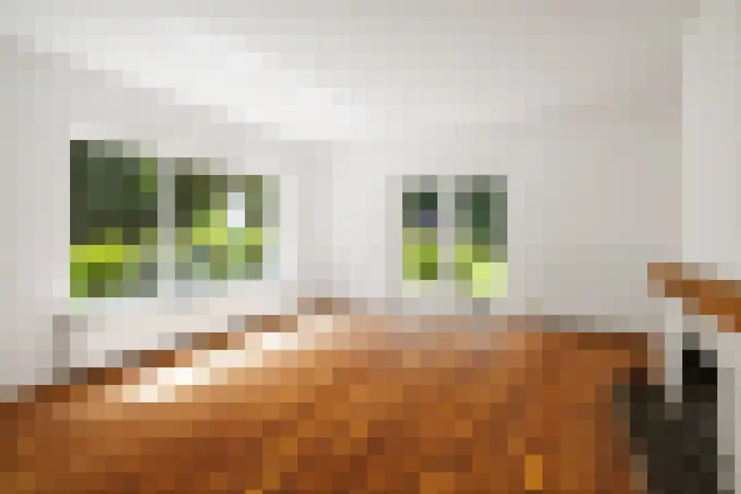 Rossweg 3 Laren thumbnail 6