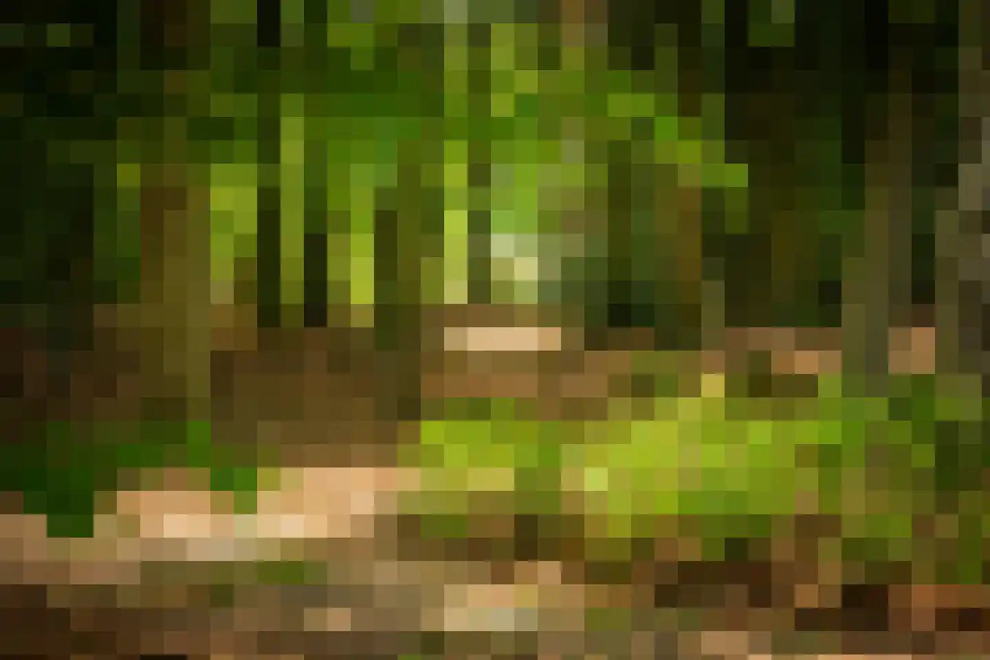 Rossweg 3 Laren thumbnail 60