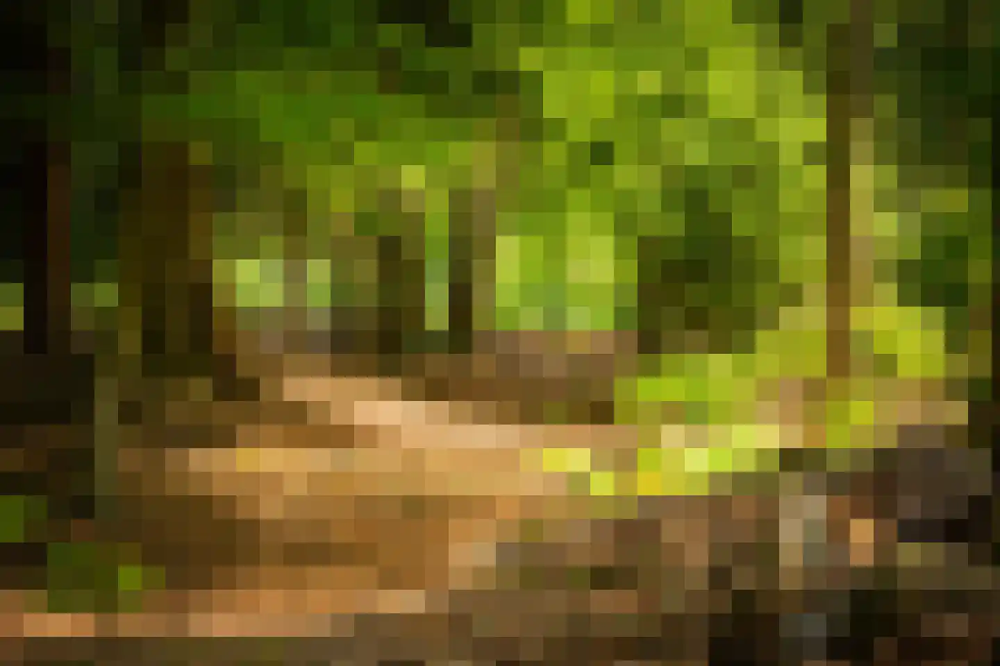 Rossweg 3 Laren thumbnail 61