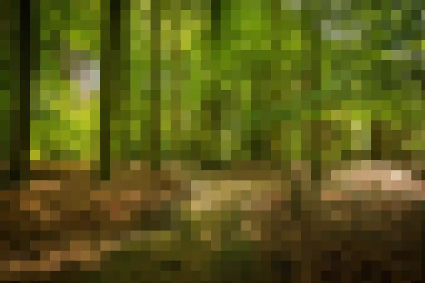 Rossweg 3 Laren thumbnail 62