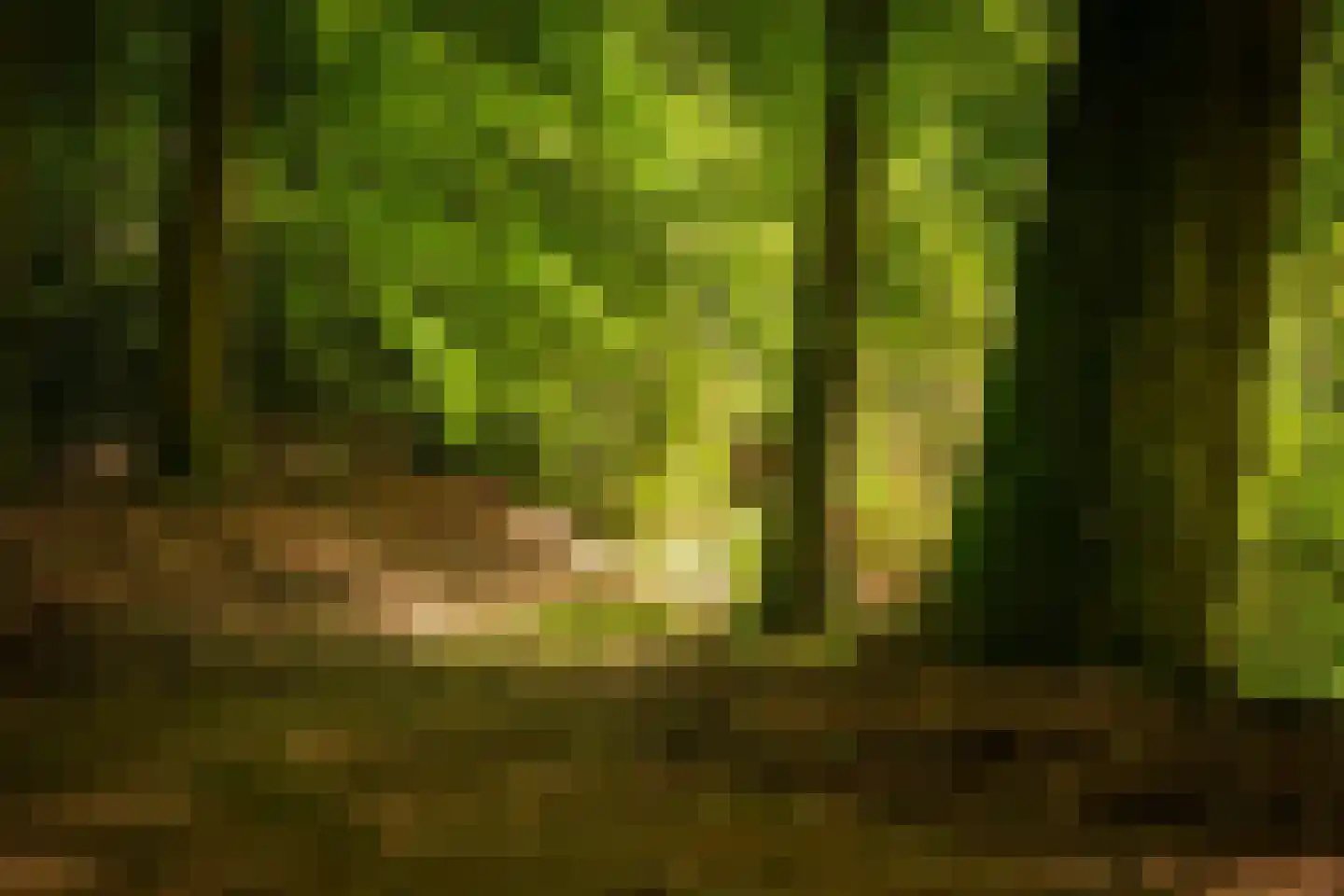 Rossweg 3 Laren thumbnail 63