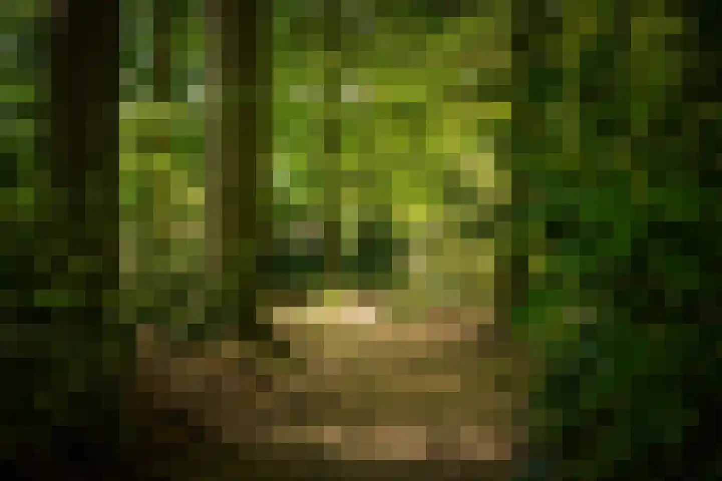 Rossweg 3 Laren thumbnail 64