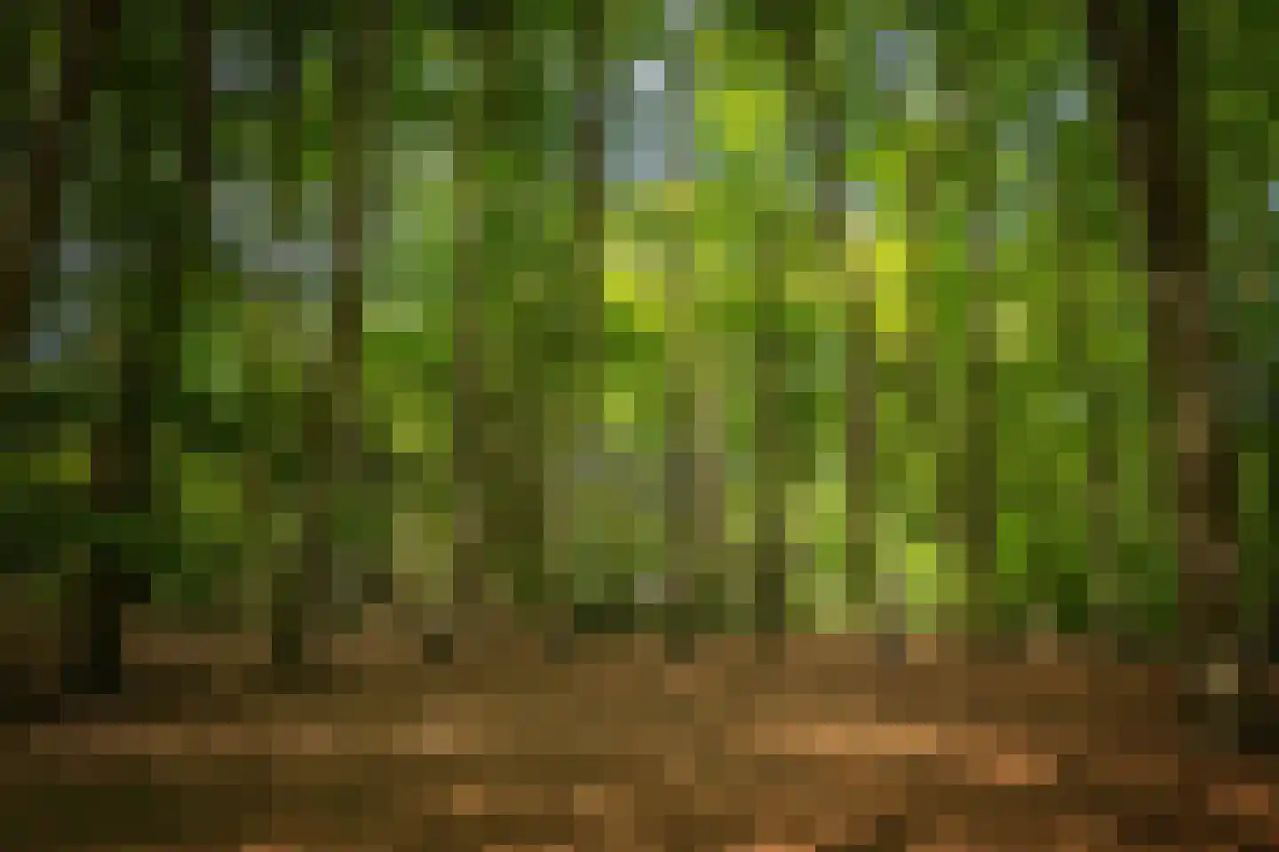 Rossweg 3 Laren thumbnail 65