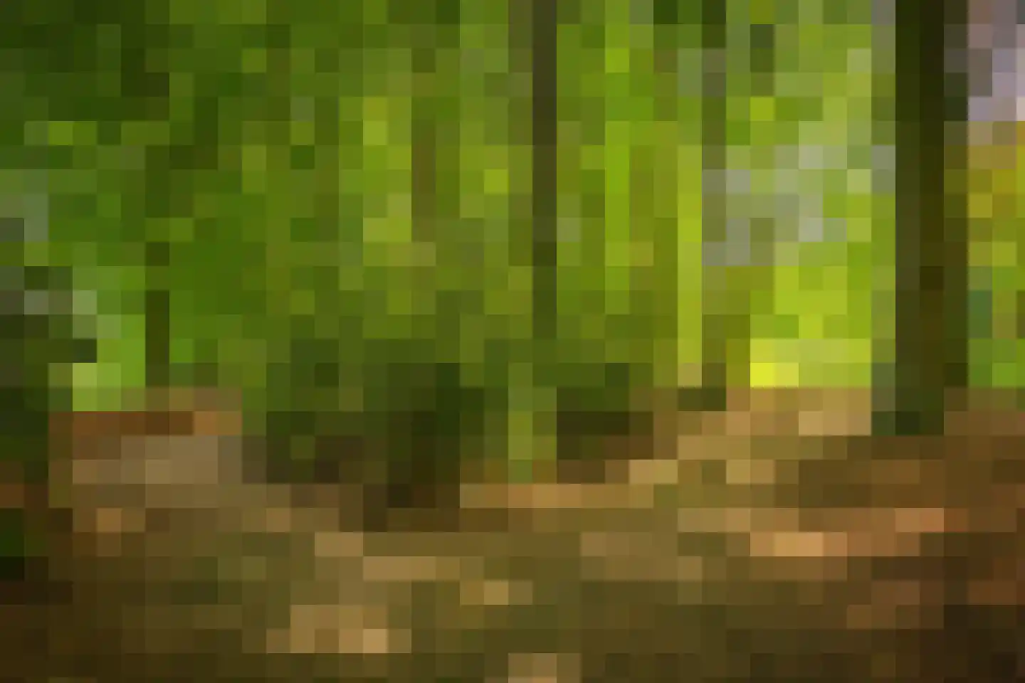 Rossweg 3 Laren thumbnail 66