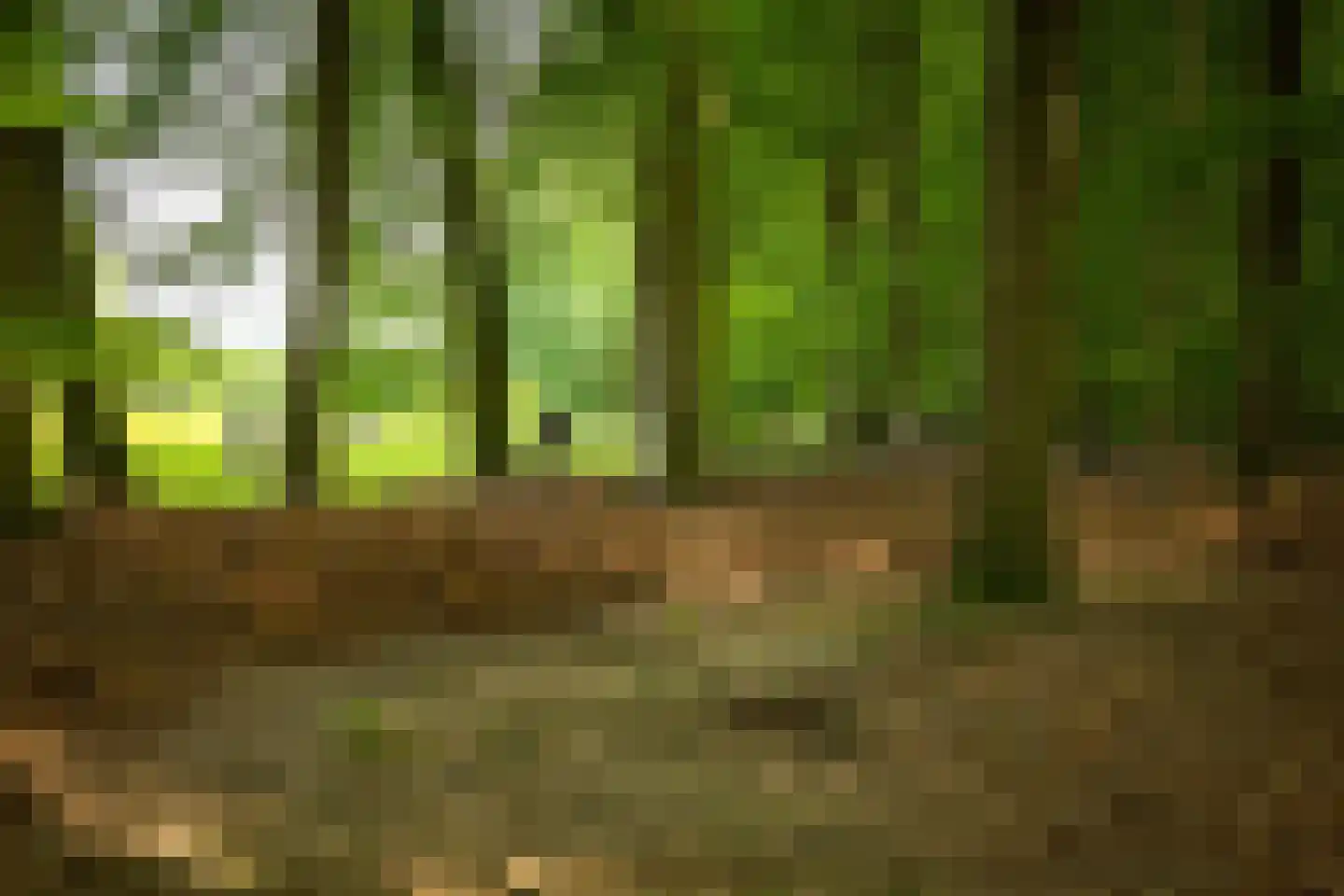 Rossweg 3 Laren thumbnail 67