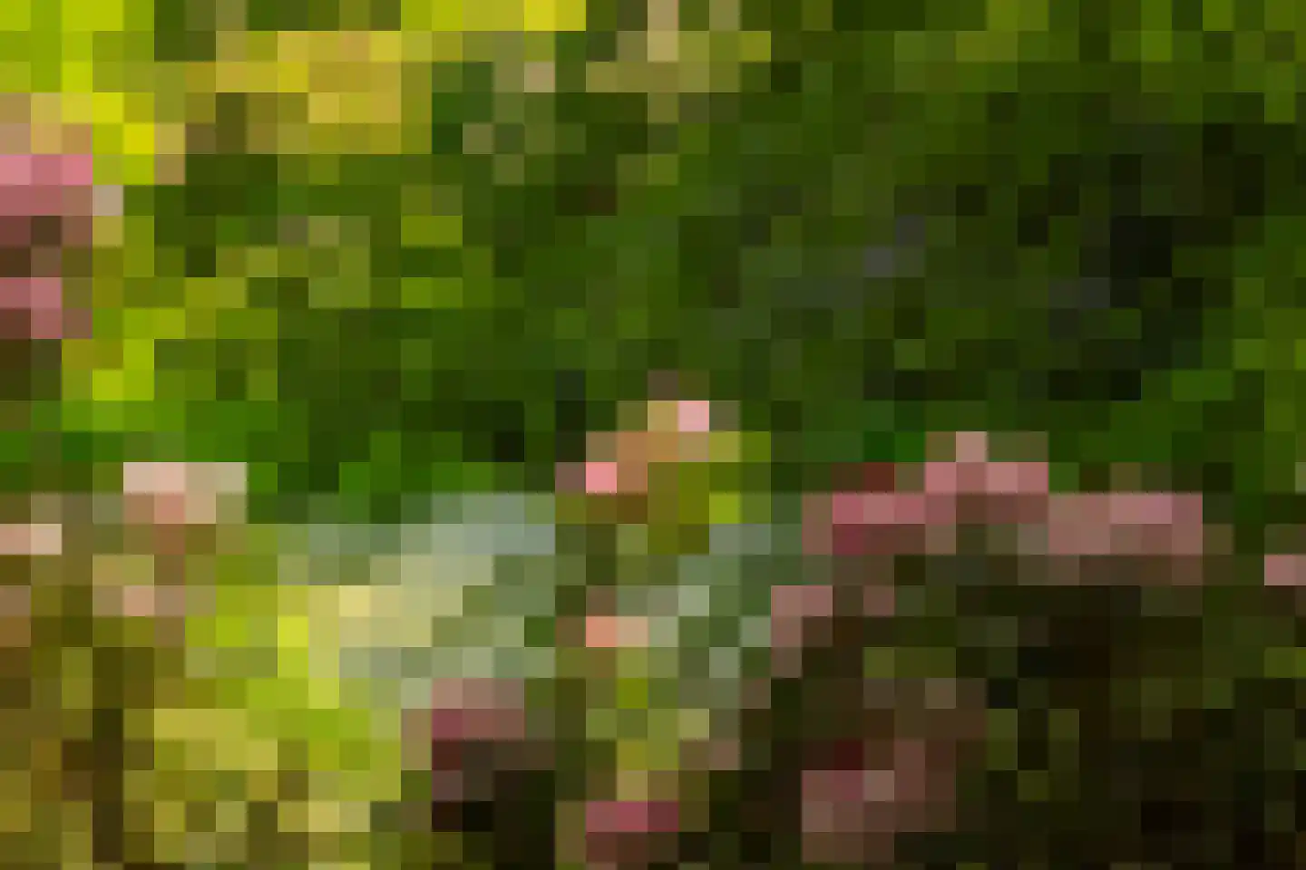 Rossweg 3 Laren thumbnail 68