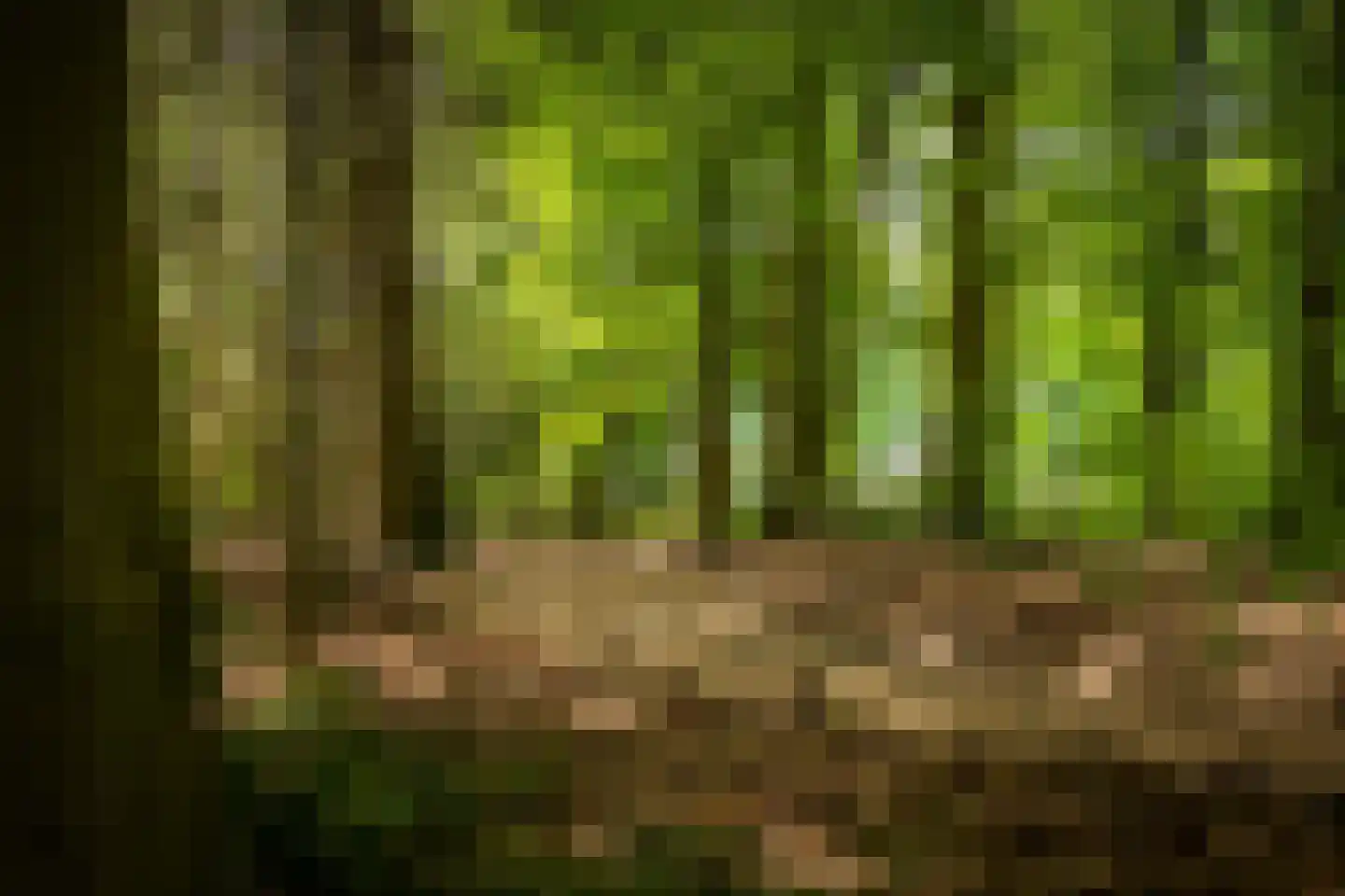 Rossweg 3 Laren thumbnail 69