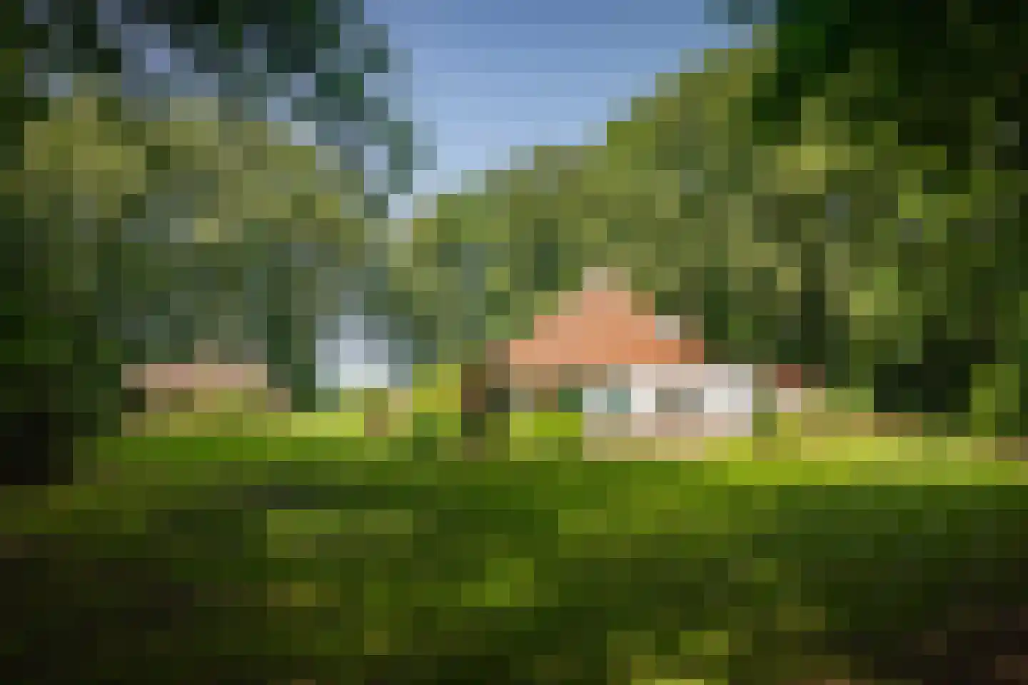 Rossweg 3 Laren thumbnail 7