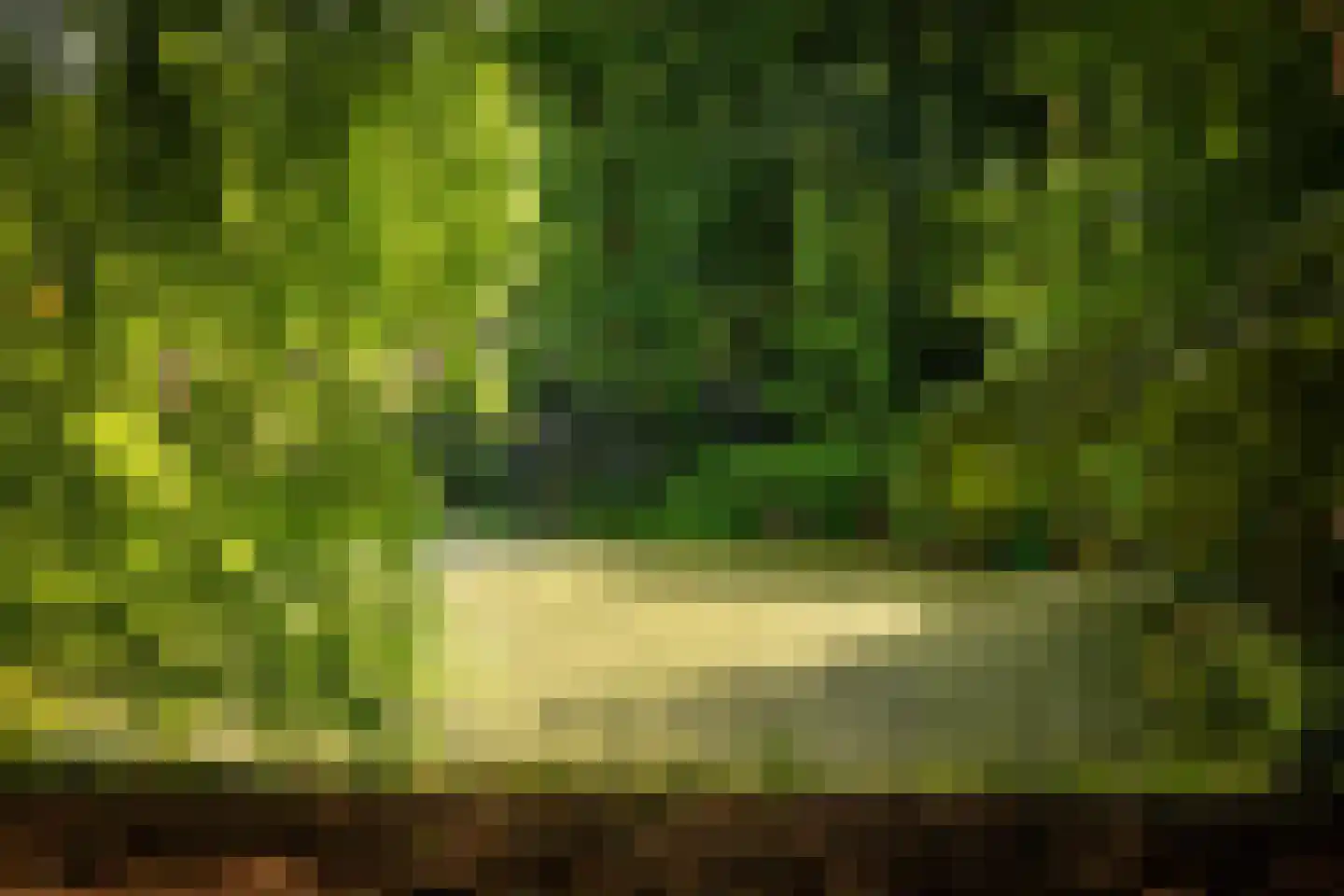 Rossweg 3 Laren thumbnail 70