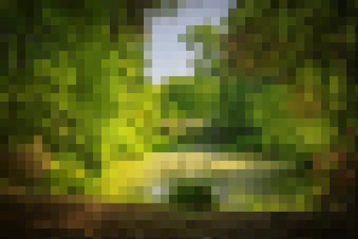 Rossweg 3 Laren thumbnail 71