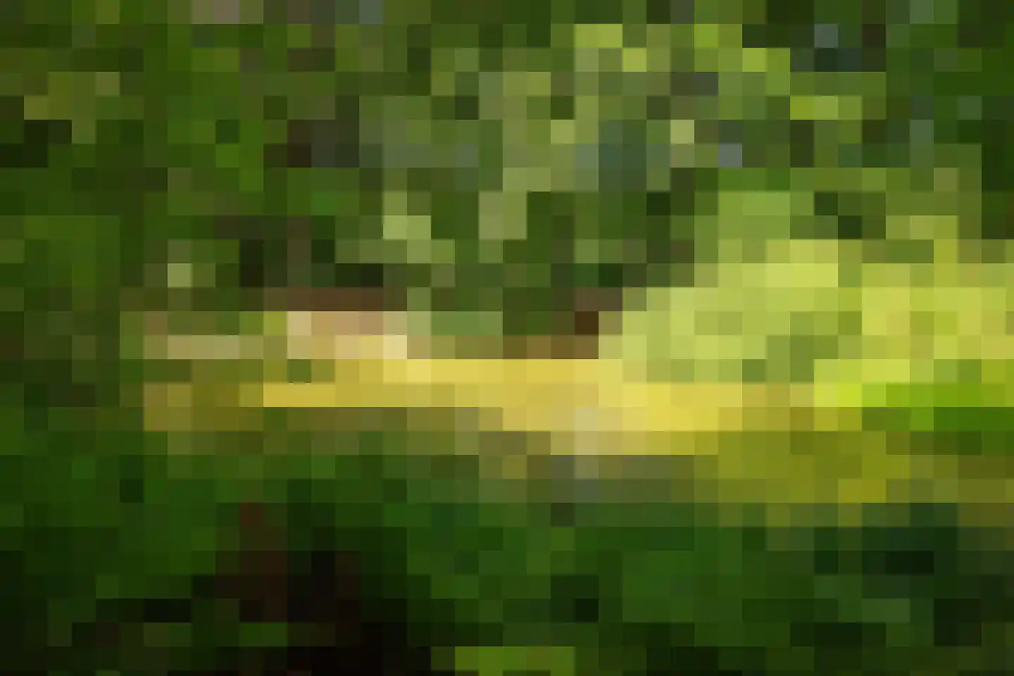Rossweg 3 Laren thumbnail 72