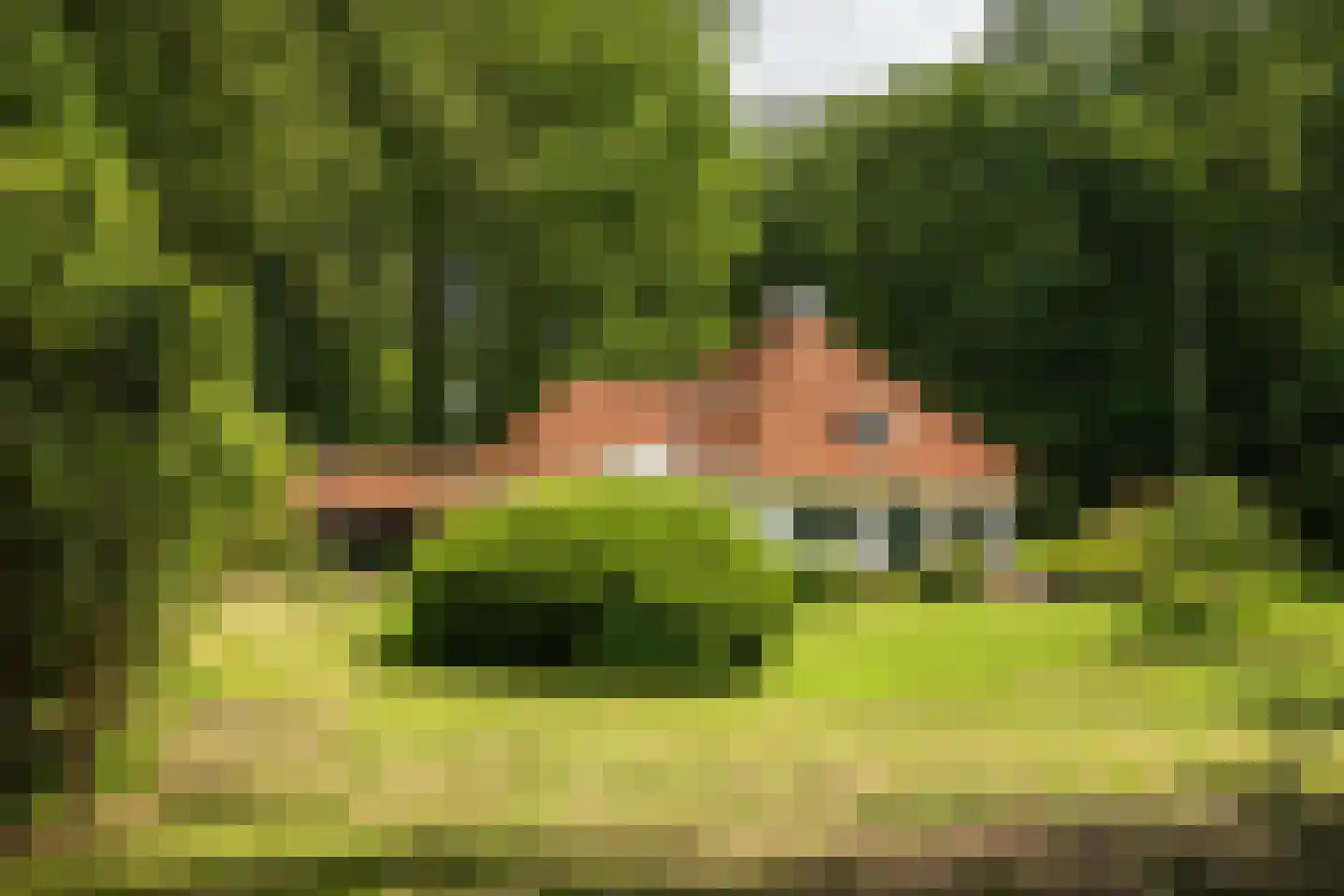 Rossweg 3 Laren thumbnail 8