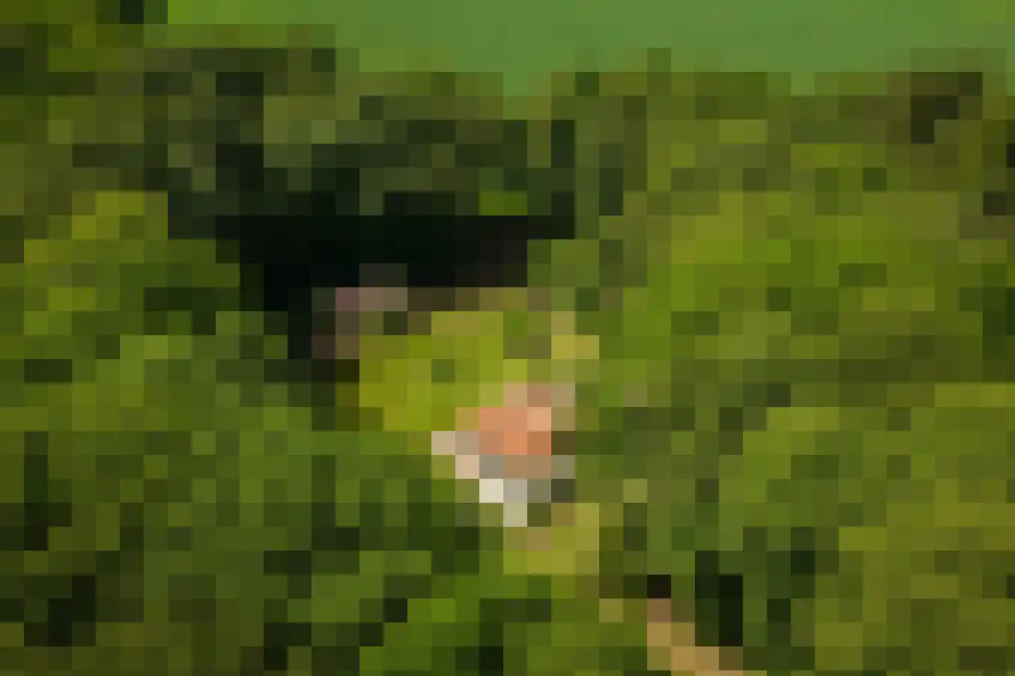 Rossweg 3 Laren thumbnail 9