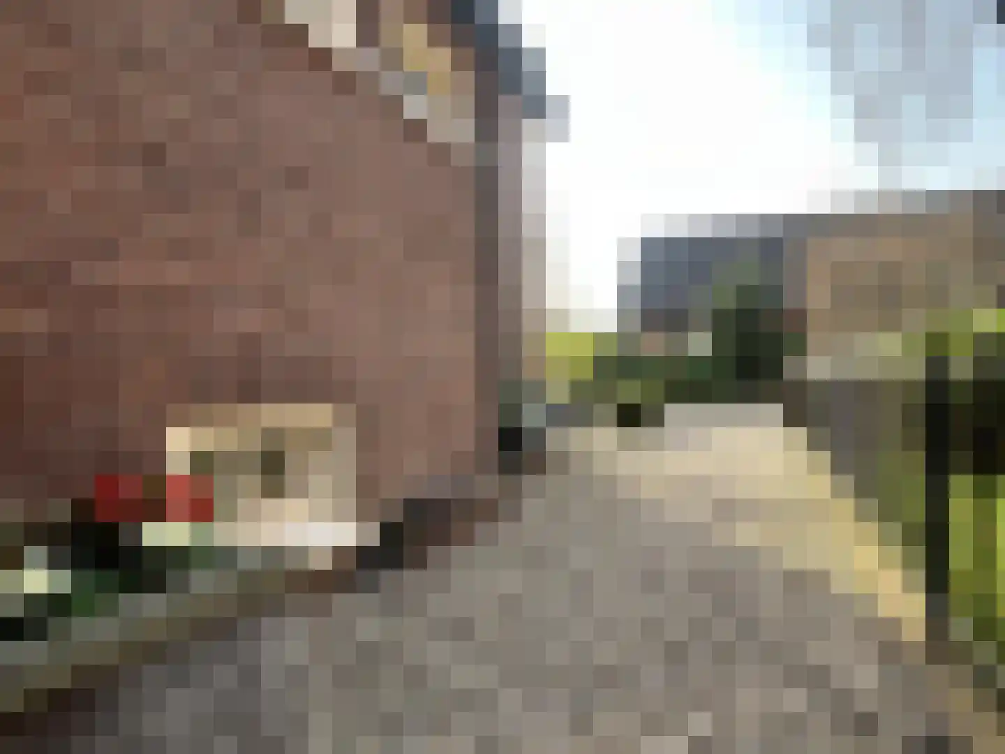 Rostocklaan 24 Apeldoorn thumbnail 25