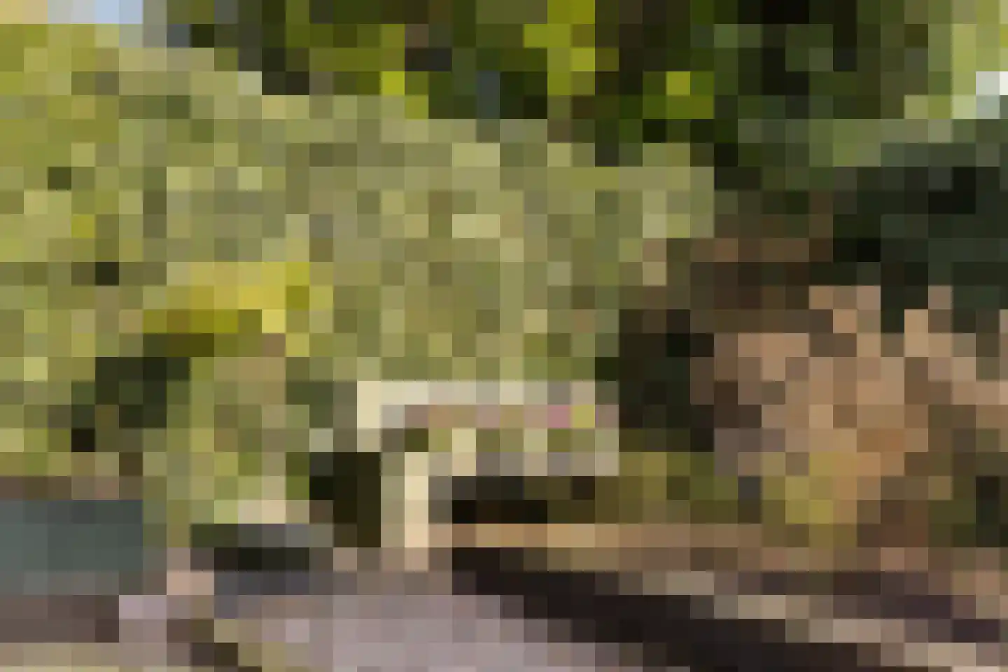 Rostocklaan 24 Apeldoorn thumbnail 29
