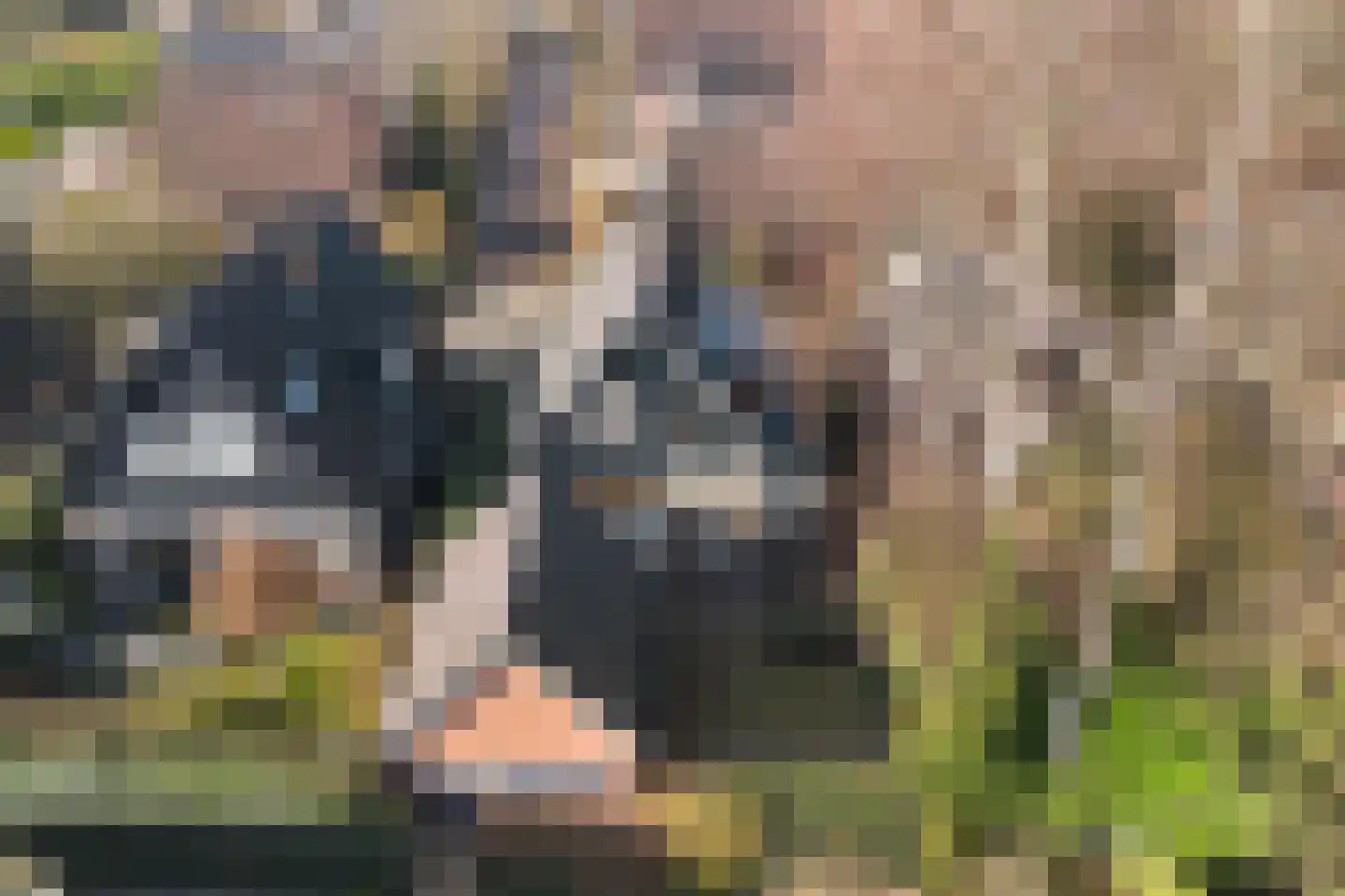 Rostocklaan 24 Apeldoorn thumbnail 41
