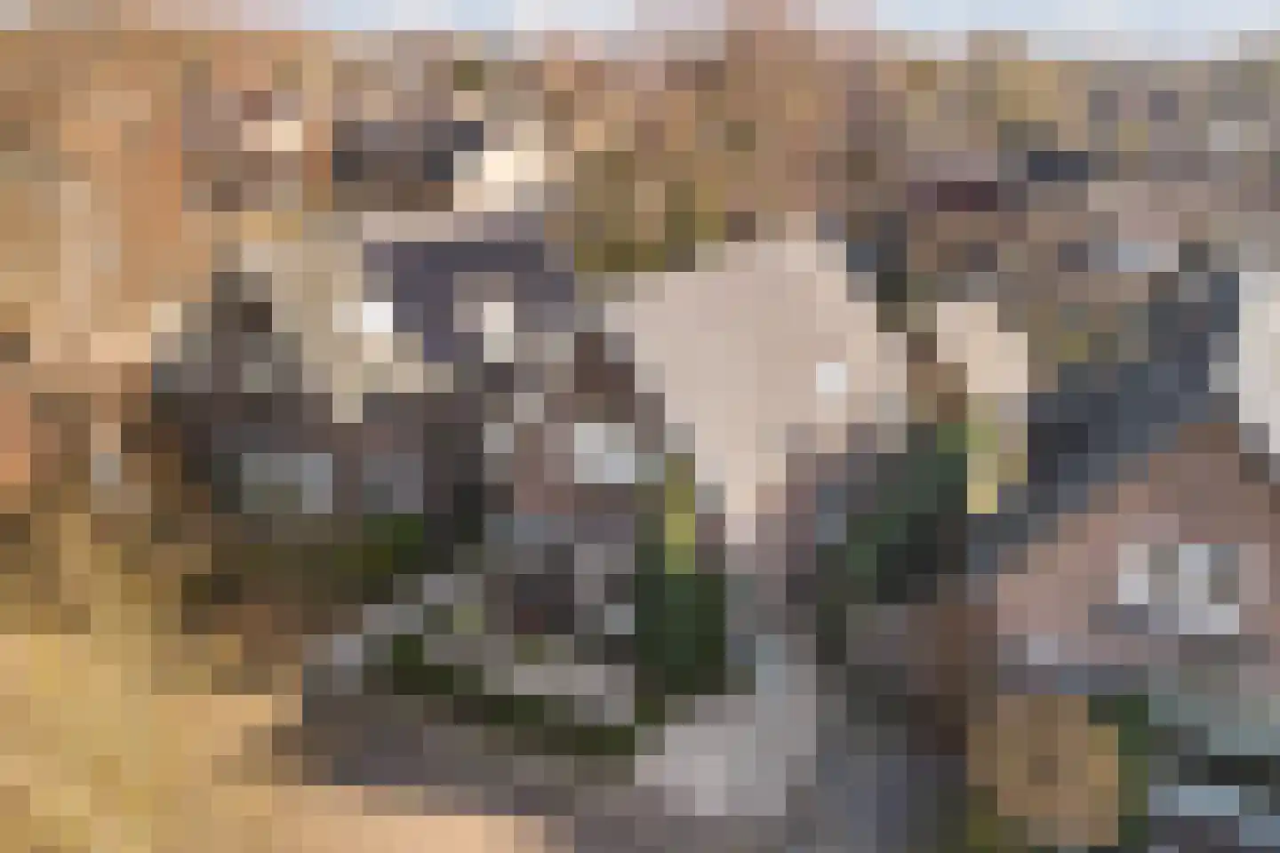 Rostocklaan 24 Apeldoorn thumbnail 5