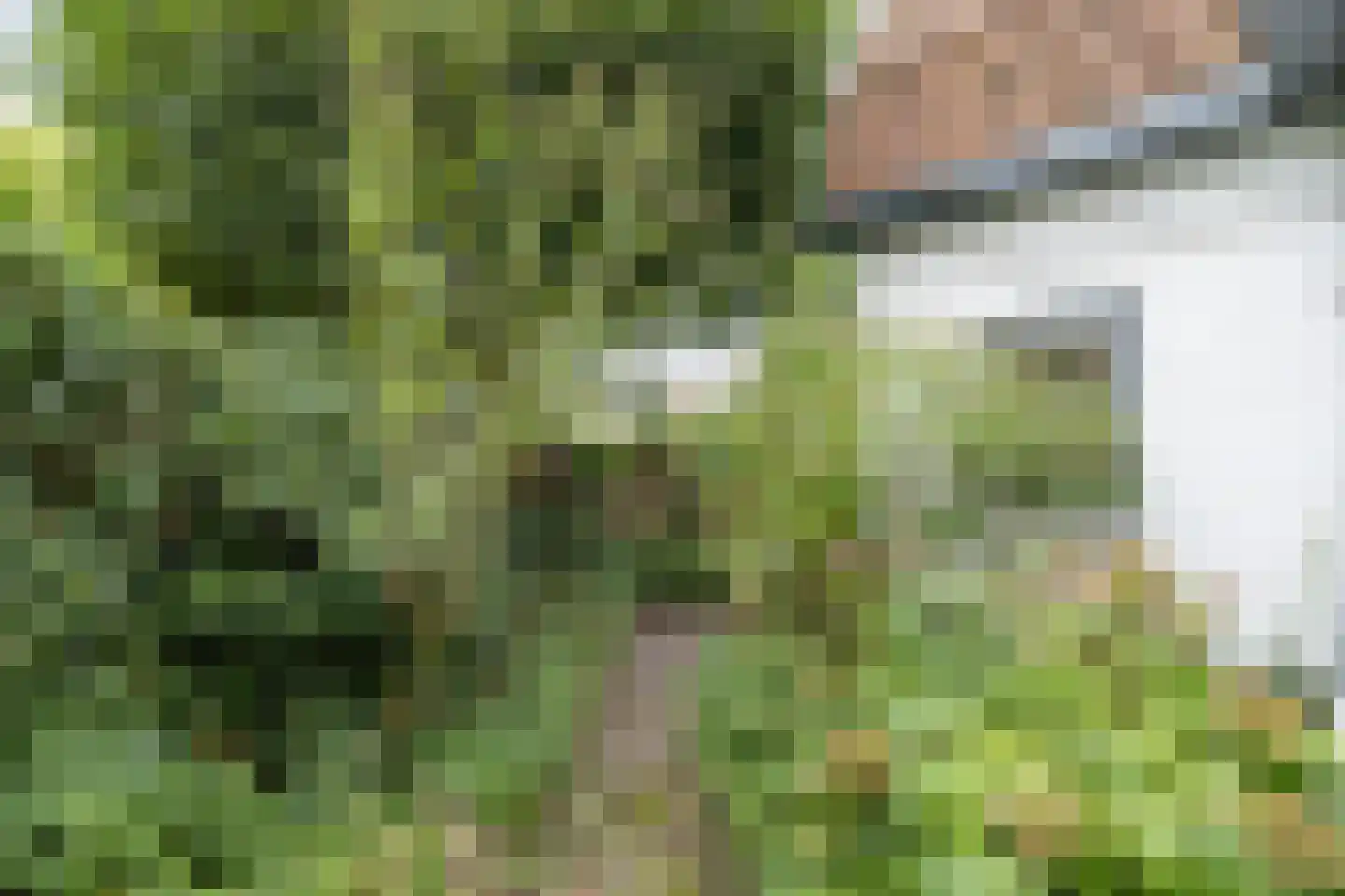 Rostocklaan 25 Bussum thumbnail 41