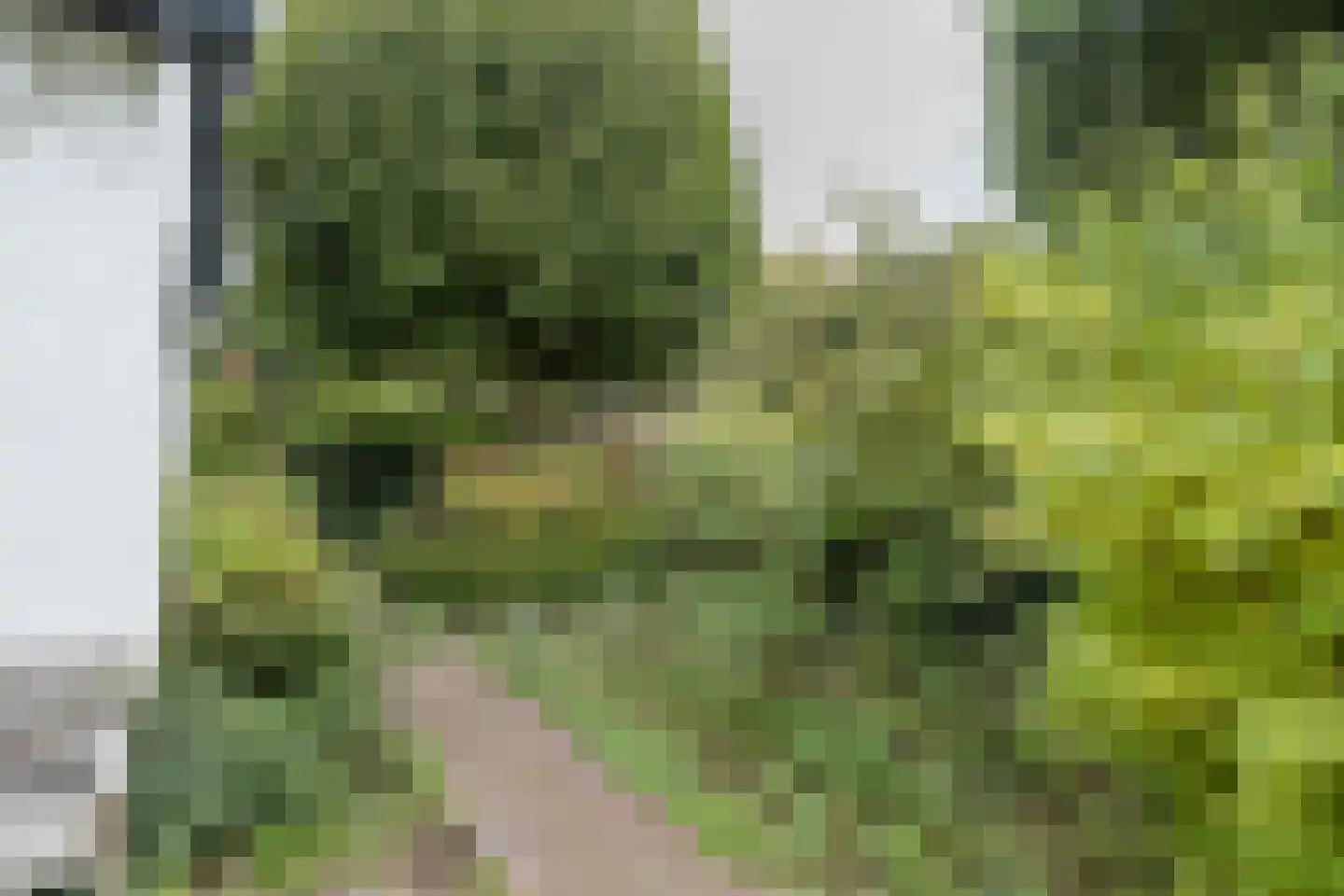 Rostocklaan 25 Bussum thumbnail 43