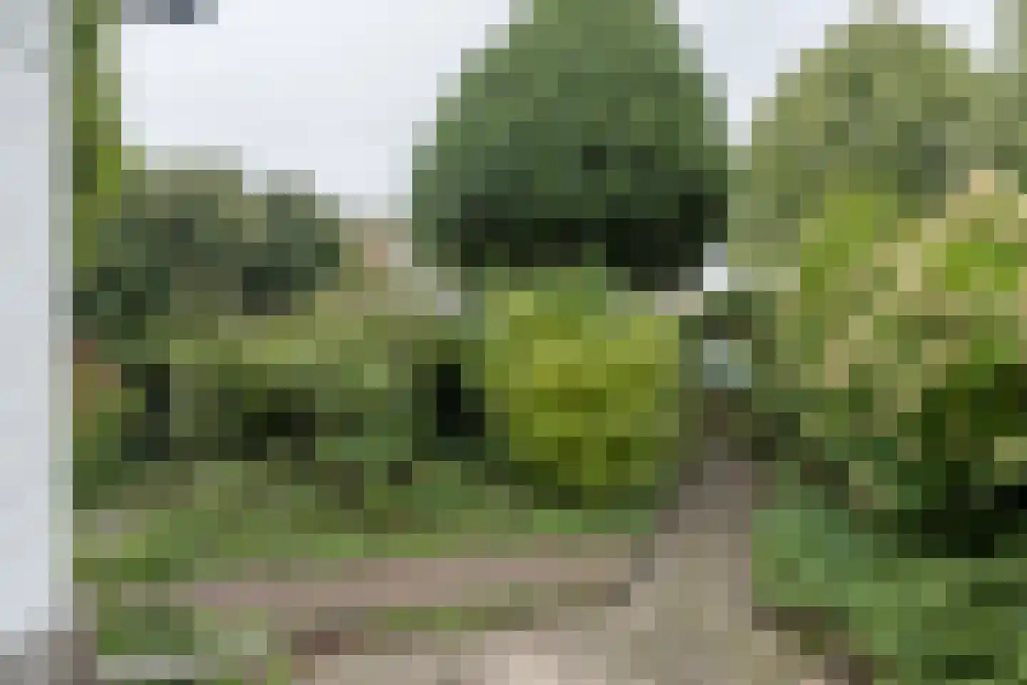 Rostocklaan 25 Bussum thumbnail 44