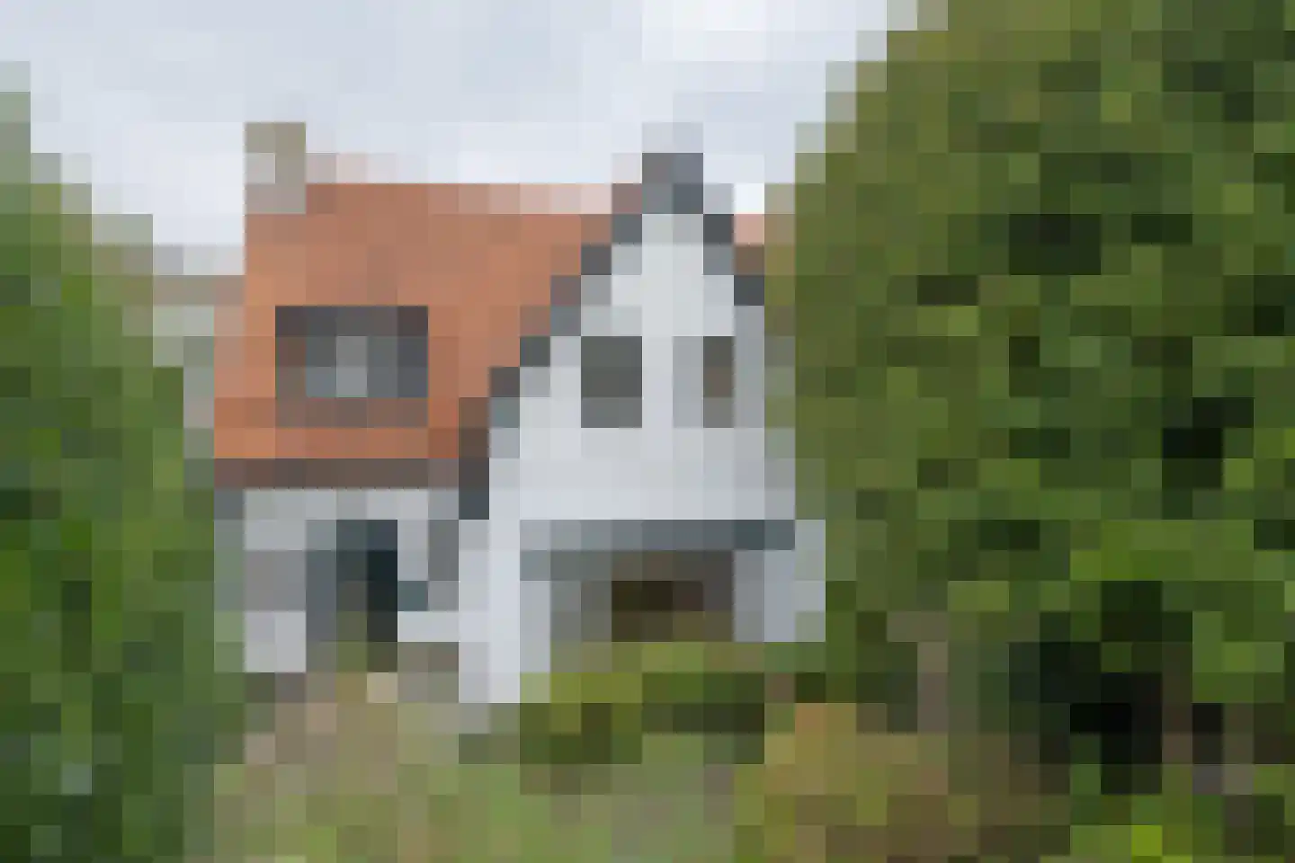 Rostocklaan 25 Bussum thumbnail 46