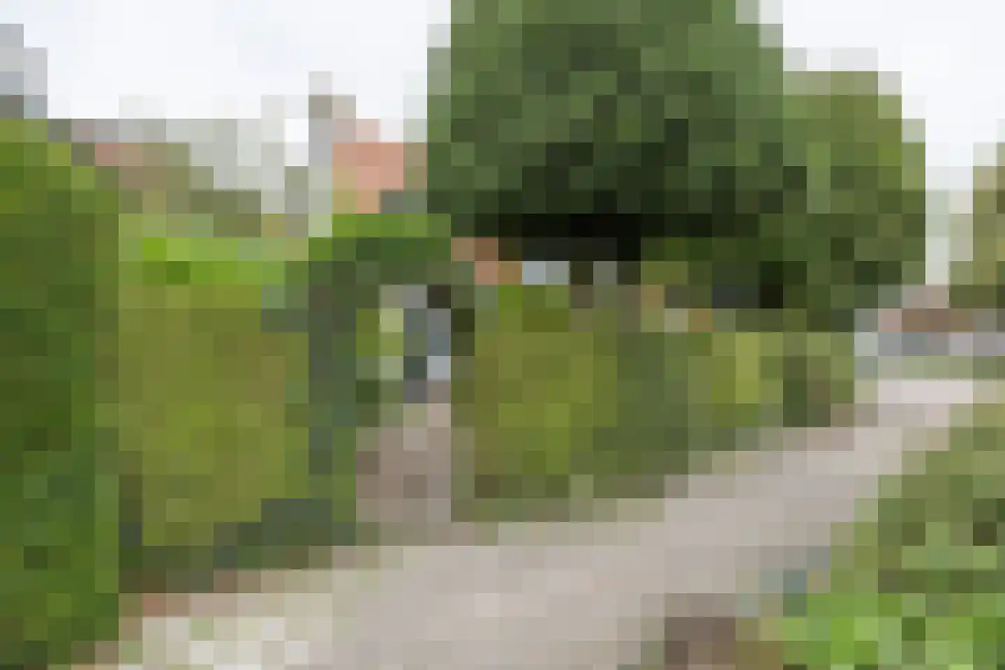 Rostocklaan 25 Bussum thumbnail 47