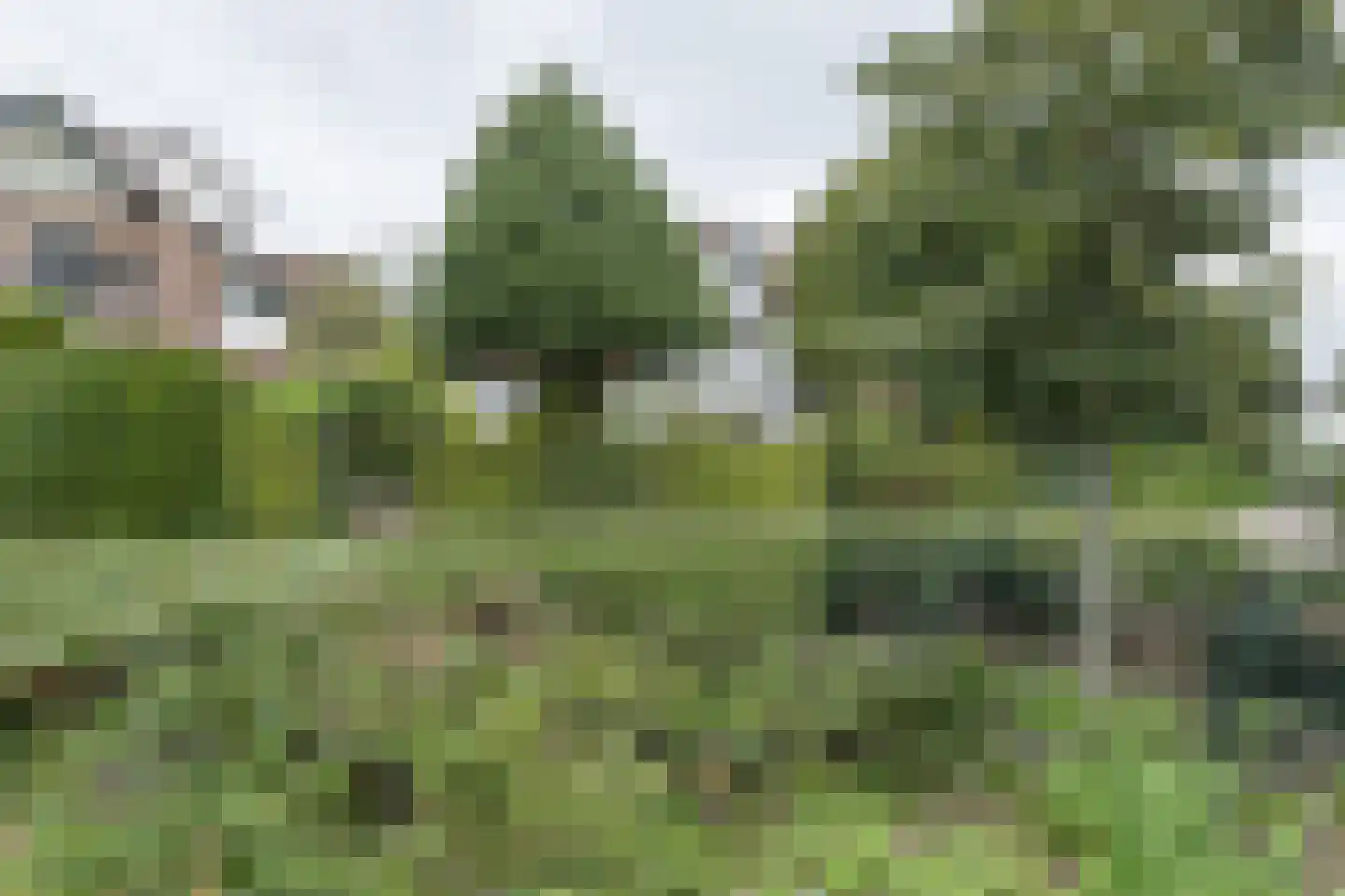 Rostocklaan 25 Bussum thumbnail 50