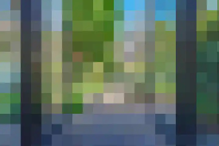 Rostocklaan 5 Bussum thumbnail 13