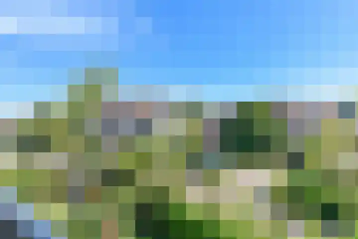 Rostocklaan 5 Bussum thumbnail 32