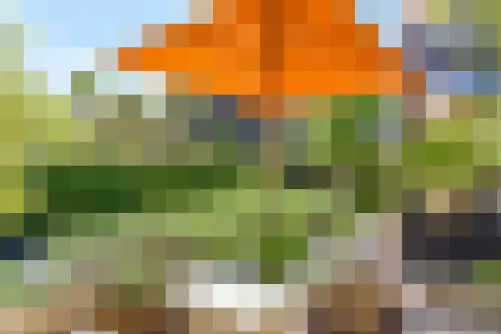 Rostocklaan 5 Bussum thumbnail 42
