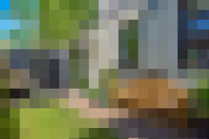 Rostocklaan 5 Bussum thumbnail 43