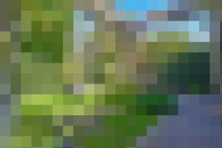 Rostocklaan 5 Bussum thumbnail 44