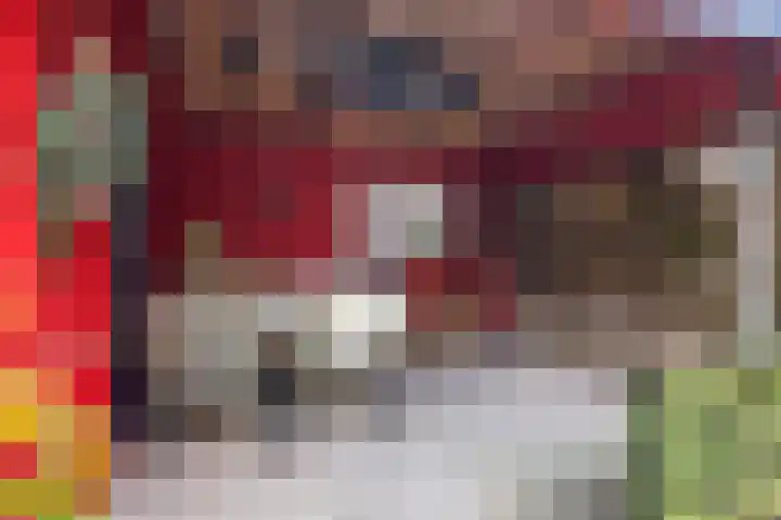 Rostocklaan 55 Apeldoorn thumbnail 30