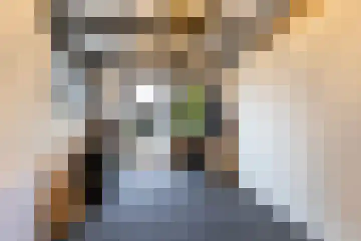 Rostocklaan 55 Apeldoorn thumbnail 34