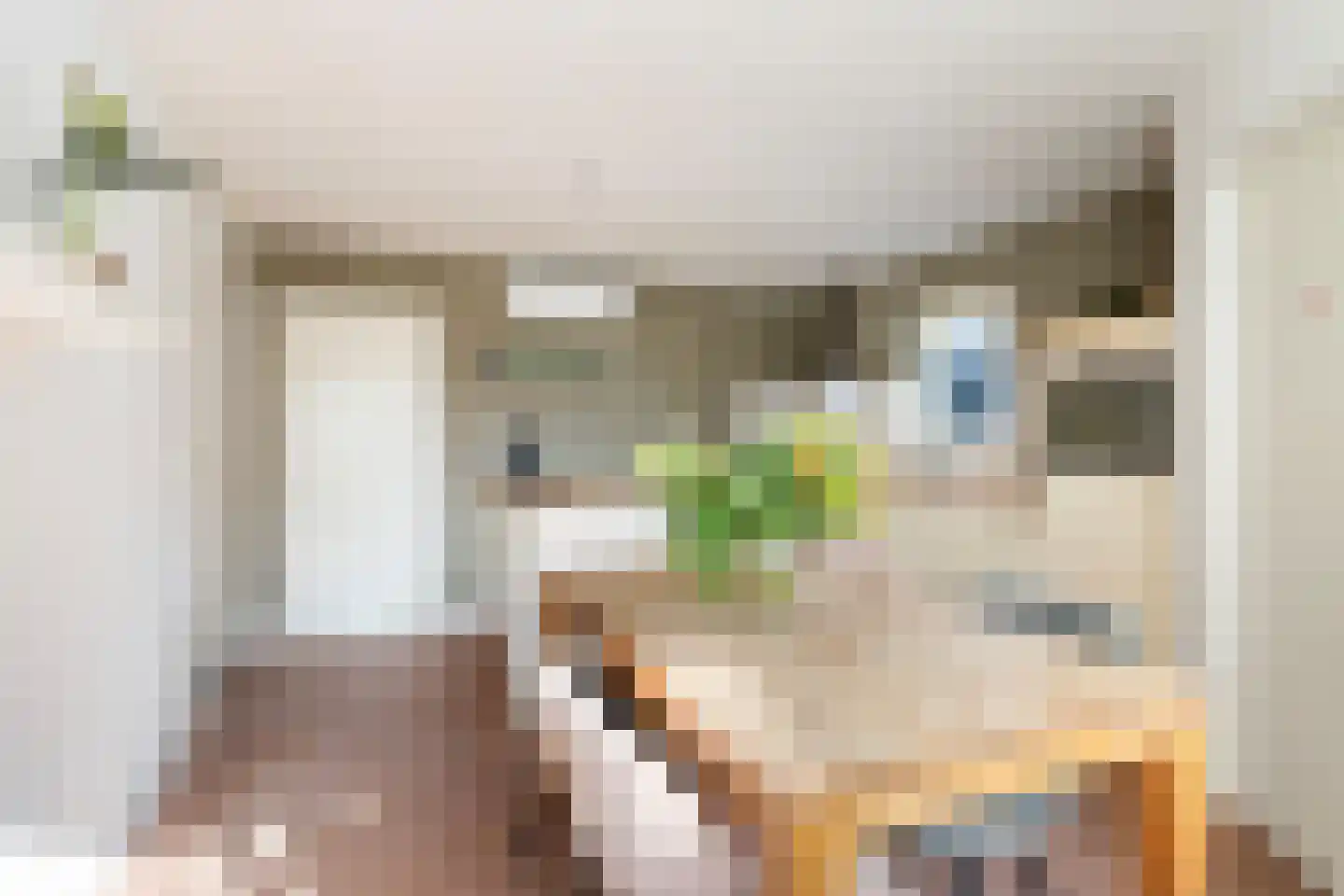 Rostocklaan 69 Apeldoorn thumbnail 16