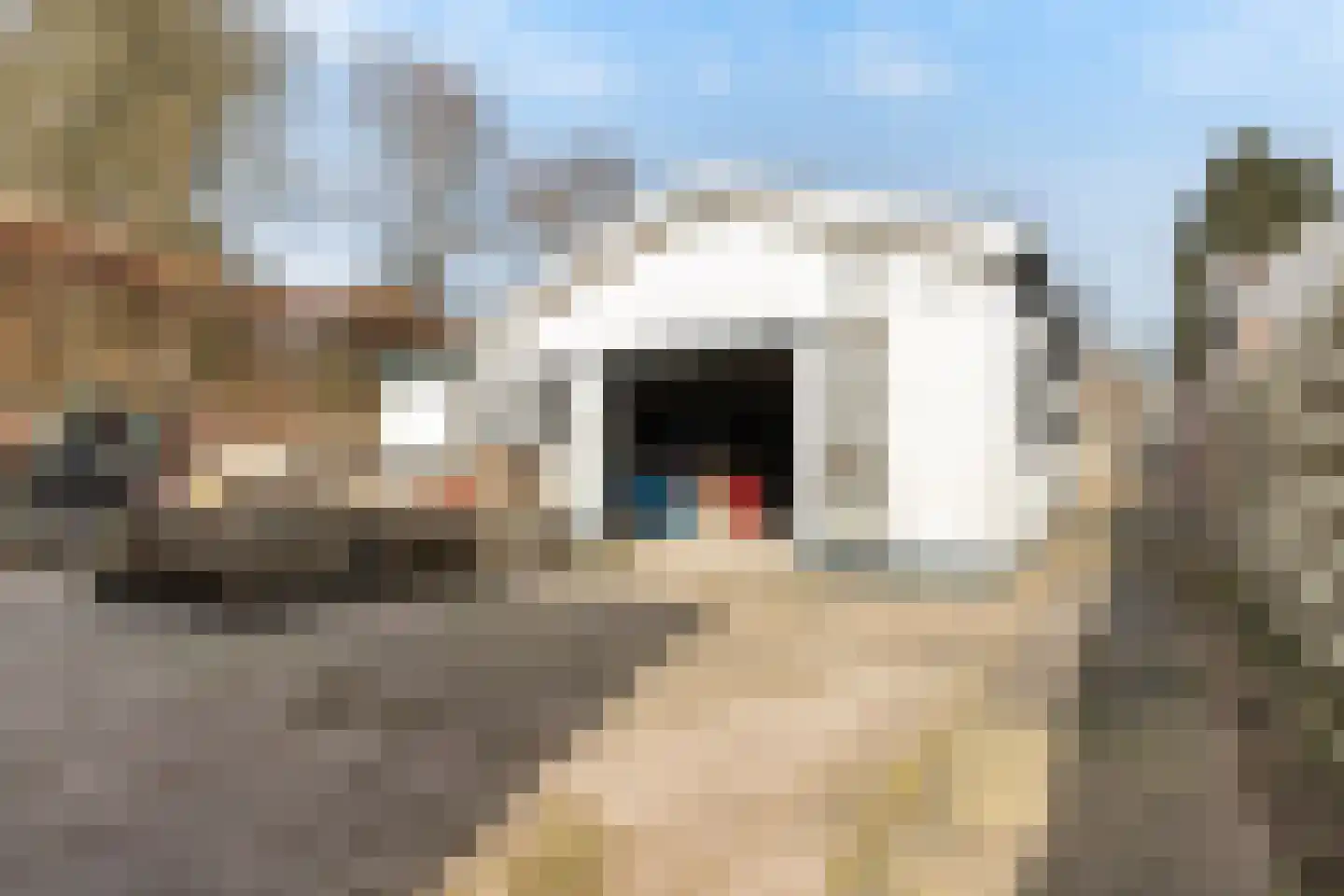 Rostocklaan 69 Apeldoorn thumbnail 46