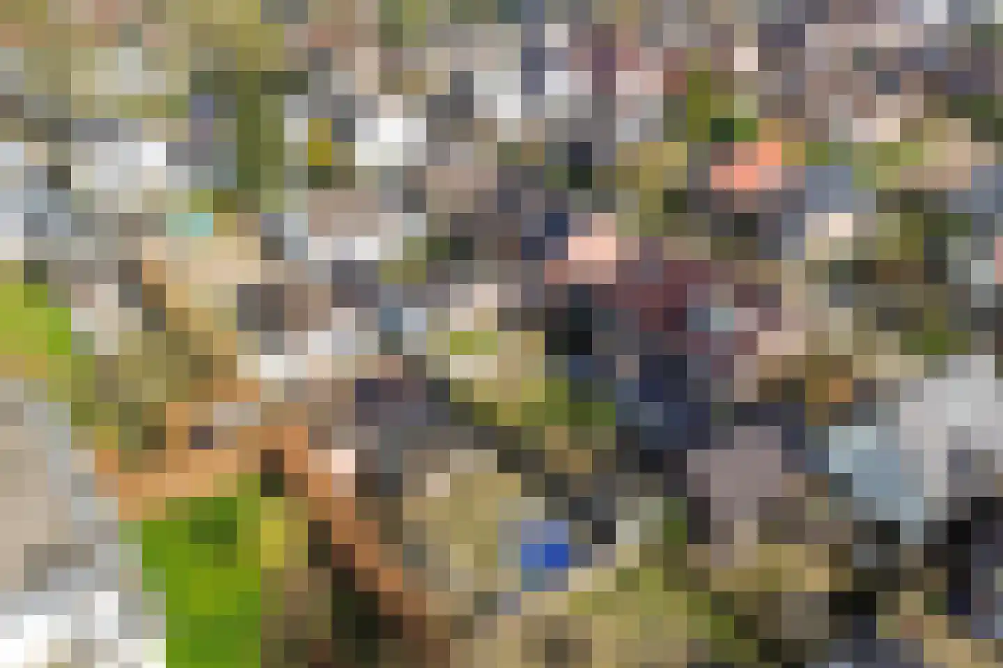 Rostocklaan 69 Apeldoorn thumbnail 5