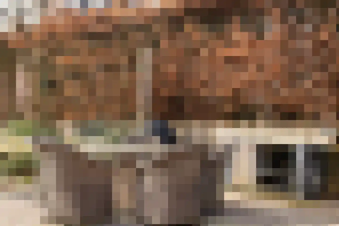 Rostocklaan 69 Apeldoorn thumbnail 52