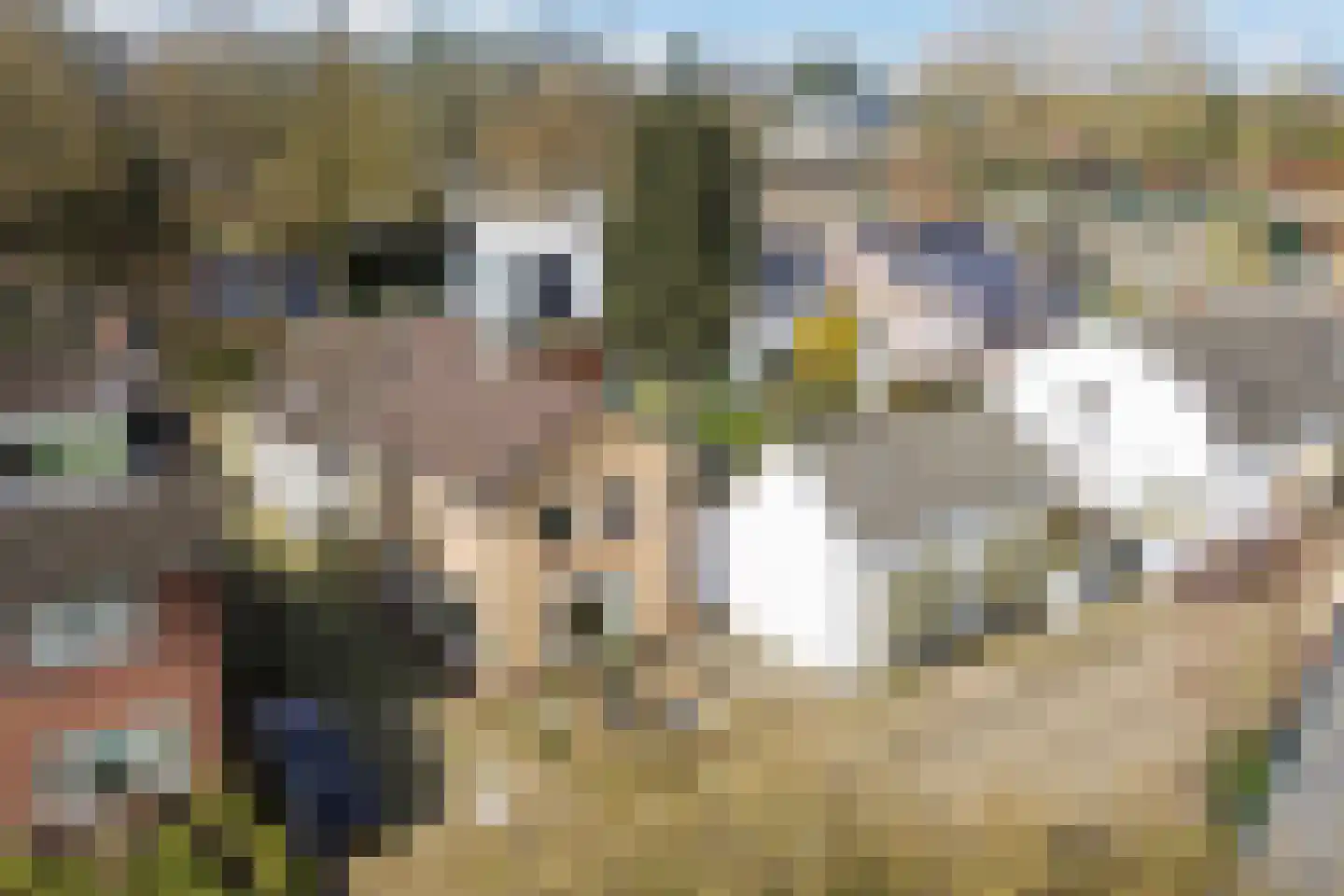 Rostocklaan 69 Apeldoorn thumbnail 53
