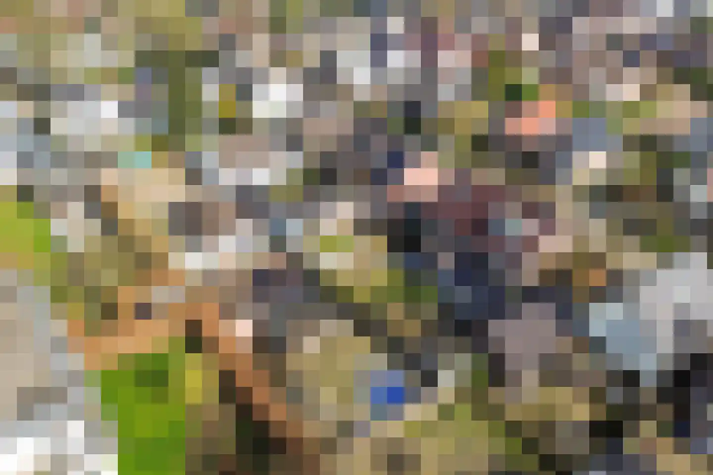 Rostocklaan 69 Apeldoorn thumbnail 55