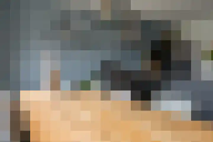 Rosveld 5 Hengevelde thumbnail 19