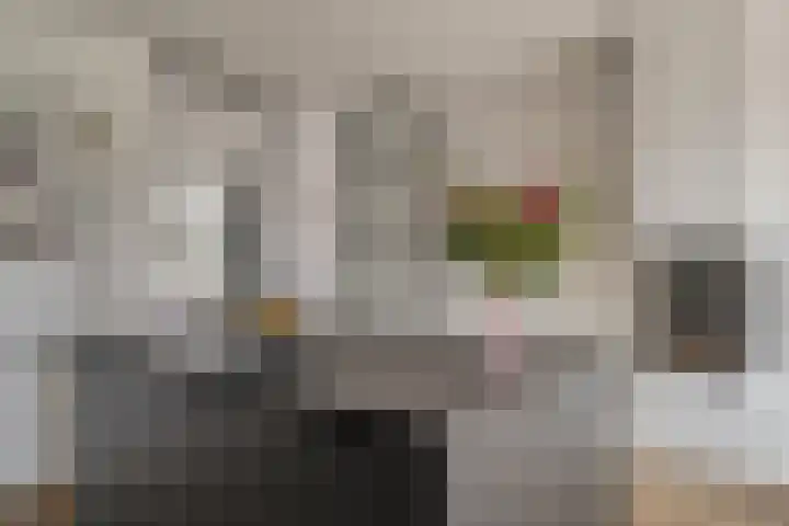 Rosveld 5 Hengevelde thumbnail 20