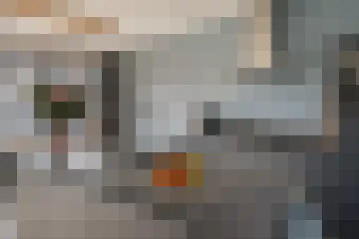 Rosveld 5 Hengevelde thumbnail 22