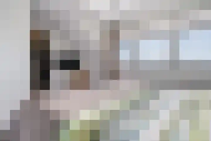 Rosveld 5 Hengevelde thumbnail 31