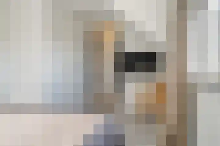 Rosveld 5 Hengevelde thumbnail 32