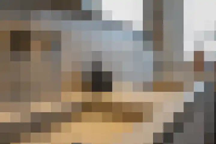 Rosveld 5 Hengevelde thumbnail 36