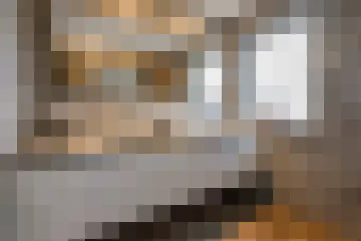 Rosveld 5 Hengevelde thumbnail 37